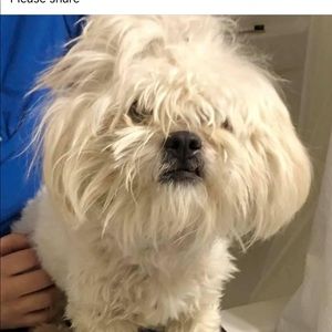 Meet your Posher, Ricky